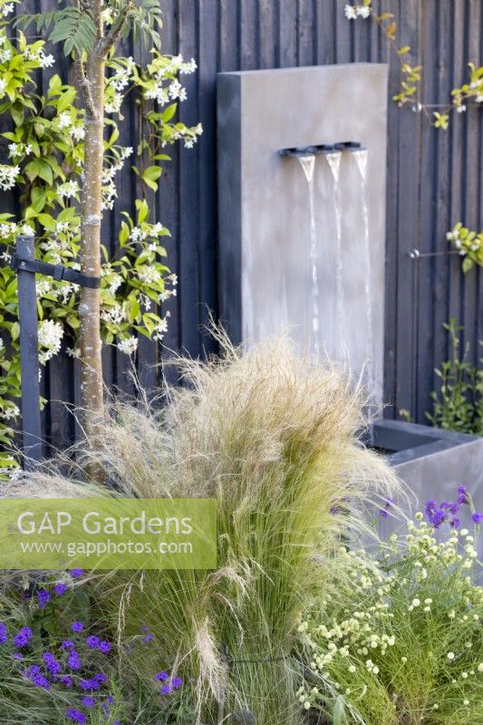 Stipa tenuissima in border with contemporary water feature in background