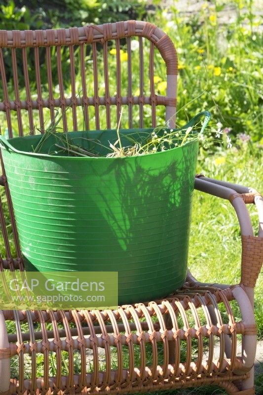 Plastic basket with garden waste on rattan chair.