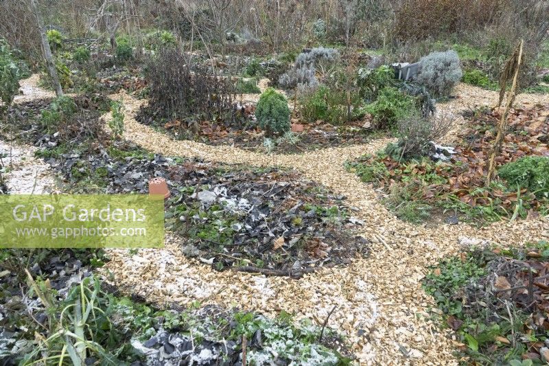 Vegetable garden with paths in organic form in winter. Ground covered with leaves from cold.