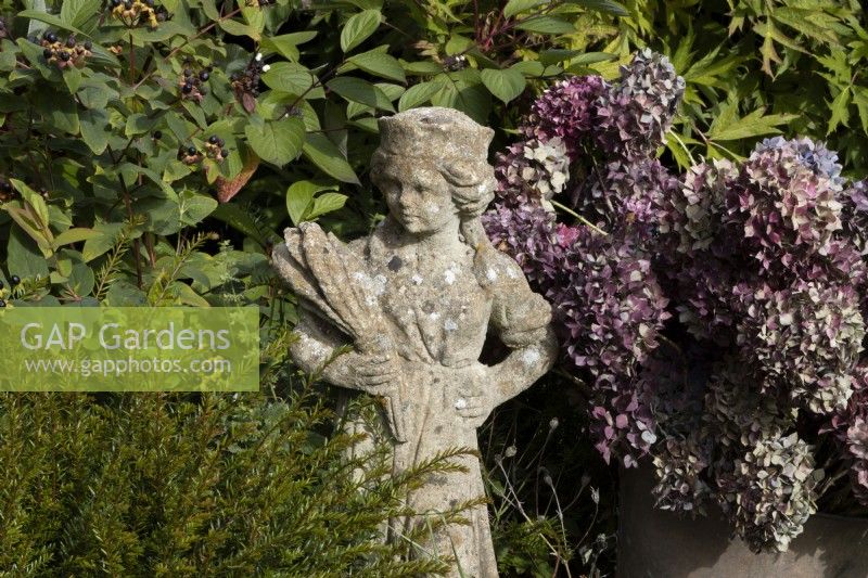 A bunch of dried hydrangea flower heads sits beside a weathered statue of a girl. Derryn Bank. Autumn.