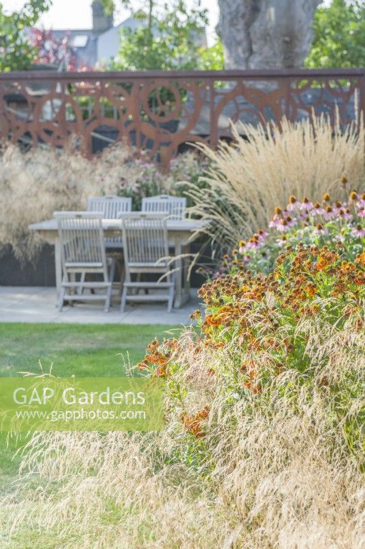 Contemporary town garden with Deschampsia cespitosa - tufted hair grass, heleniums and echinaceas, Outdoor dining area with Corten steel screen. August