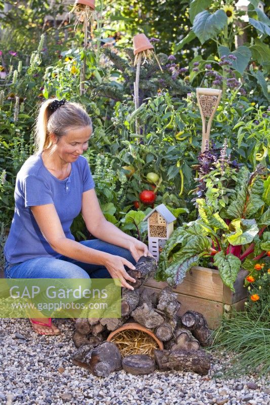 Woman making hedgehog house using broken terracotta pot and logs in kitchen garden.