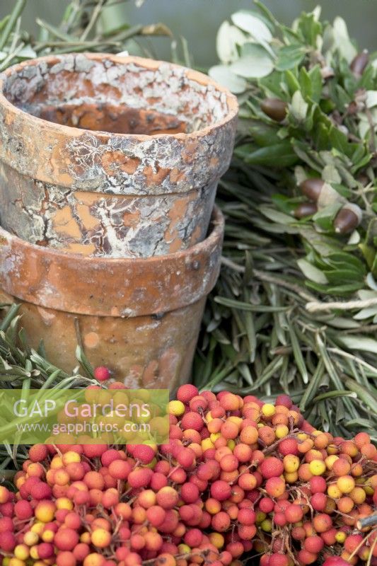 Red berries garland, terracotta pots, acorns and olive leaves garland, to make Christmas decorations.
