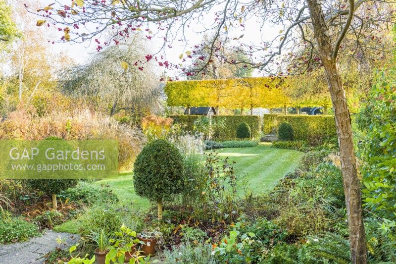 View of garden in autumn framed by Crataegus persimilis 'Prunifolia' - cockspur thorn, with box topiary and hebaceous beds and borders. November.