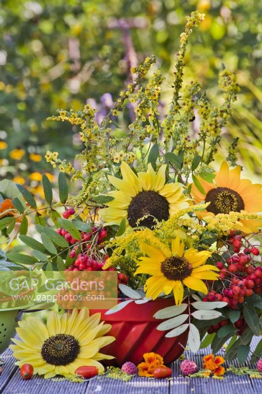 Bunch of sunflowers, goldenrod, rowan and mullein.