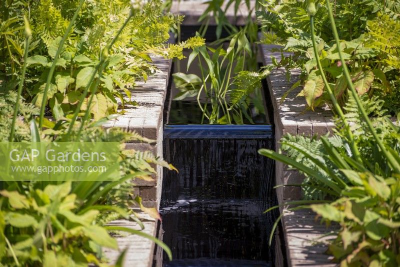 Water rill with planting - Macmillan Legacy Garden: Gift the Future, RHS Hampton Court Palace Garden Festival 2022