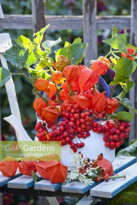 Floral arrangement with rowan berries and Chinese lantern.