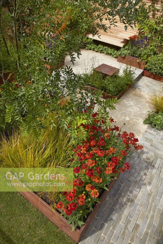 High view showing raised planter with Helenium 'Moerheim Beauty' with pathway to water feature and seating area. 'Lunch Break Garden', RHS Hampton Court Palace Garden Festival, London, July 2022 - Best in Show Get Started Gardens - Designer: Inspired Earth Design