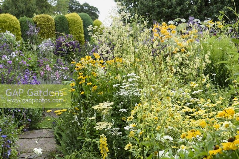 Colour themed borders in a cottage garden in July.