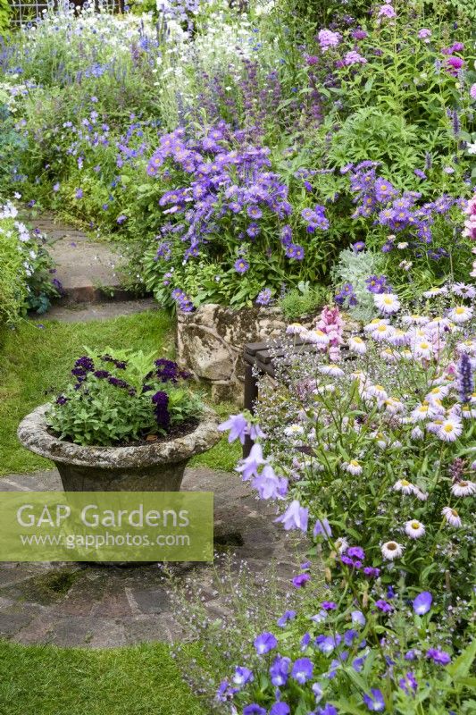 Stone urn of purple verbenas surrounded by lushly planted borders in a cottage garden in July