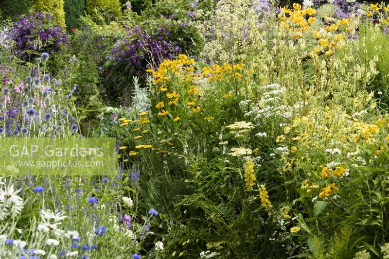 Colour themed borders in a small country garden in July