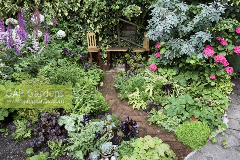 Borders of foliage plants including Soleirolia soleirolii, mind-your-own-business, dark aeoniums and ferns in July