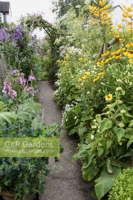 Path between colour themed borders in a cottage garden in July