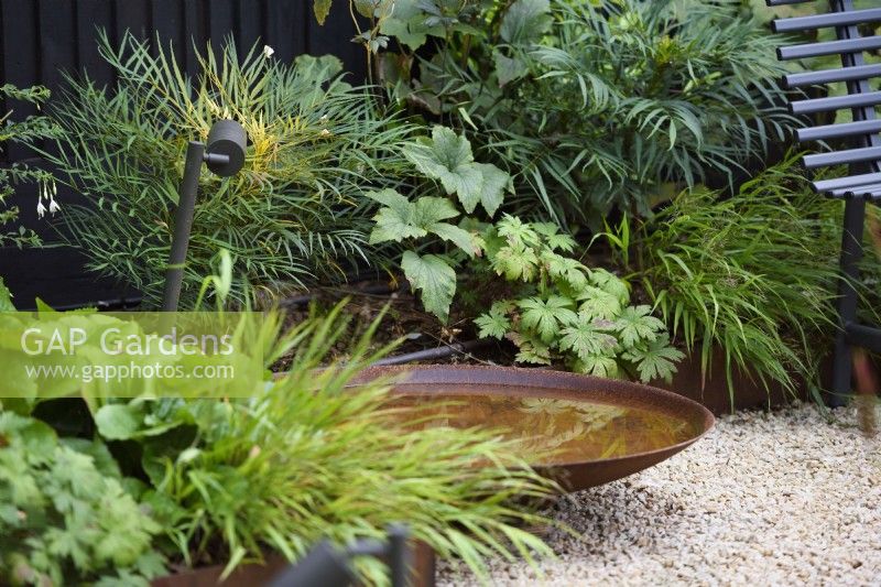 Corten steel water bowl next to border with Mahonia 'Soft Caress' and foliage of Geranium. 