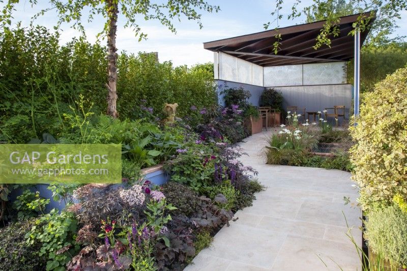 A stone paved porcelain paving path sloping up for wheelchair access to a covered shelter seating area structure with plants in raised beds with a Betula nigra tree and planting of Sambucus nigra 'Black Beauty - Iris 'White Swirl' - ferns and mixed planting borders with Griselinia littoralis hedge on The SSAFA Garden RHS Chelsea Flower Show 2022 - Designed by Designer Amanda Waring - Built by Arun Landscapes - Sponsored by CCLA 
