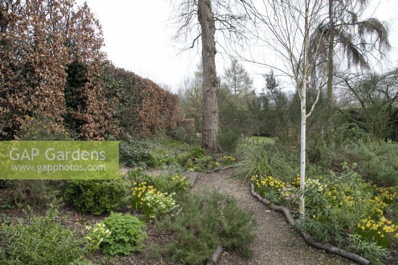 The Winter Garden at Winterbourne Botanical Gardens - March