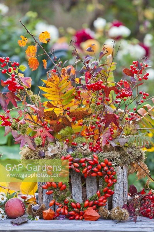 Outdoor arrangement with mixed autumn foliage, guelder rose and wreath made of moss and rosehips.