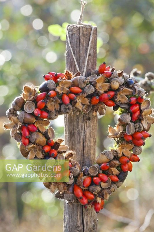 Heart shaped wreath on made of rosehips, beechnuts and acorns hanging from  the wood post.