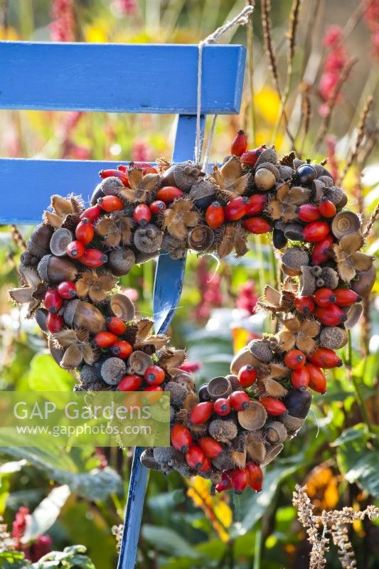 Heart shaped wreath on made of rosehips, beechnuts and acorns hanging from  the chair.