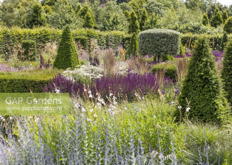 Colourful perennial garden with topiary, summer June