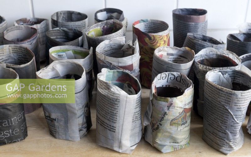 Making planting pots for seedlings from old newspapers. 
Once the pot moulds have been created the paper is dampened to make the mould stick and then the pots are left to dry.