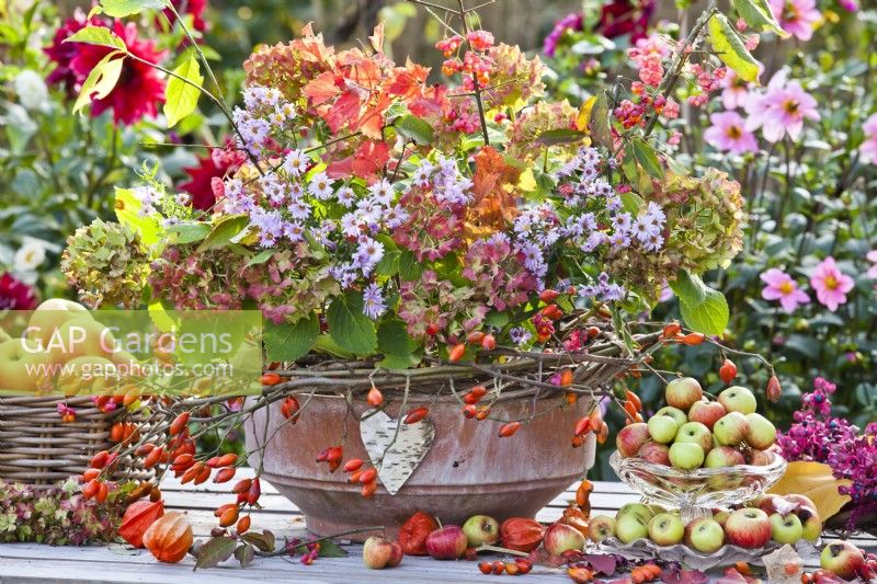 Autumn table arrangements including woven box and glass stand with apples and terracotta decorated with rose hip wreath and filled with hydrangea, asters, guelder rose and euonymus..