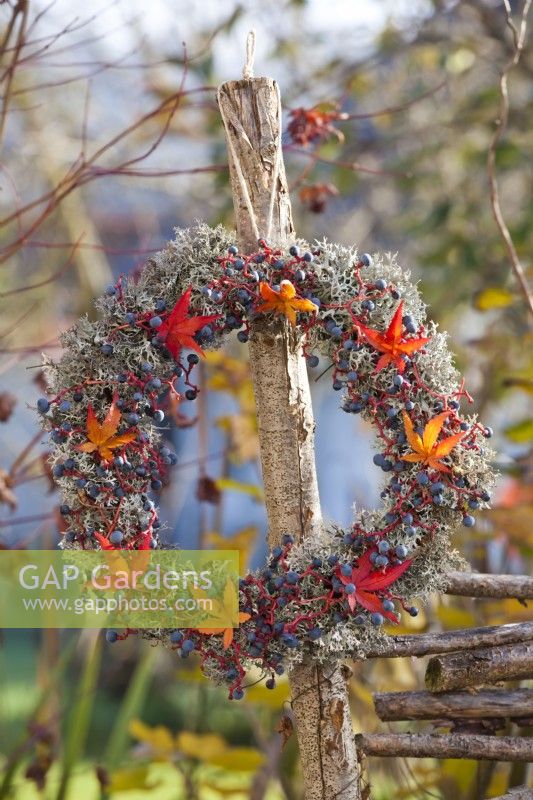 Wreath made from Boston ivy berries, lichens and autumn maple foliage on wood post.