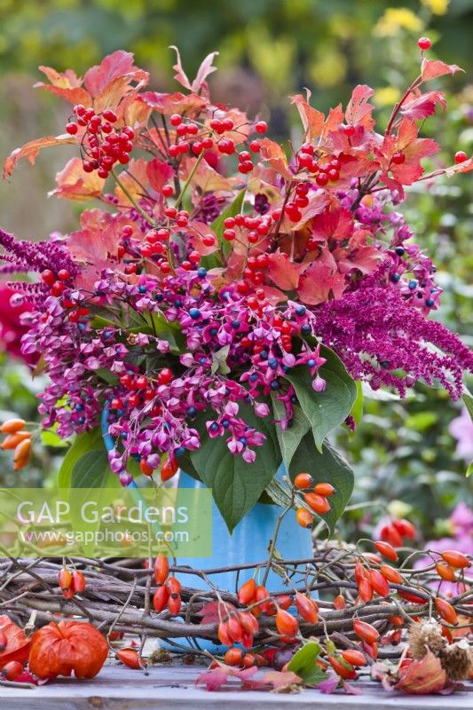 Bouquet of autumn foliage and berries containing Clerodendrum trichotomum and Viburnum opulus - Guelder rose.