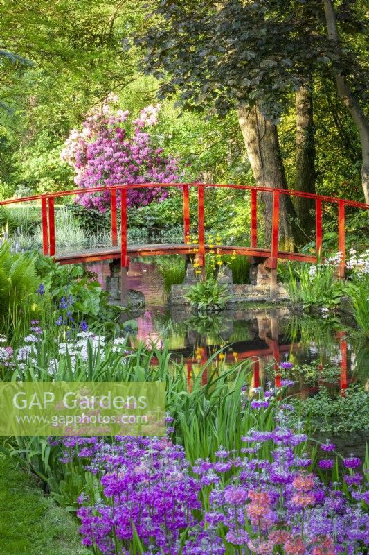 Red bridge over the river with candelabra primulas, irises and ferns
