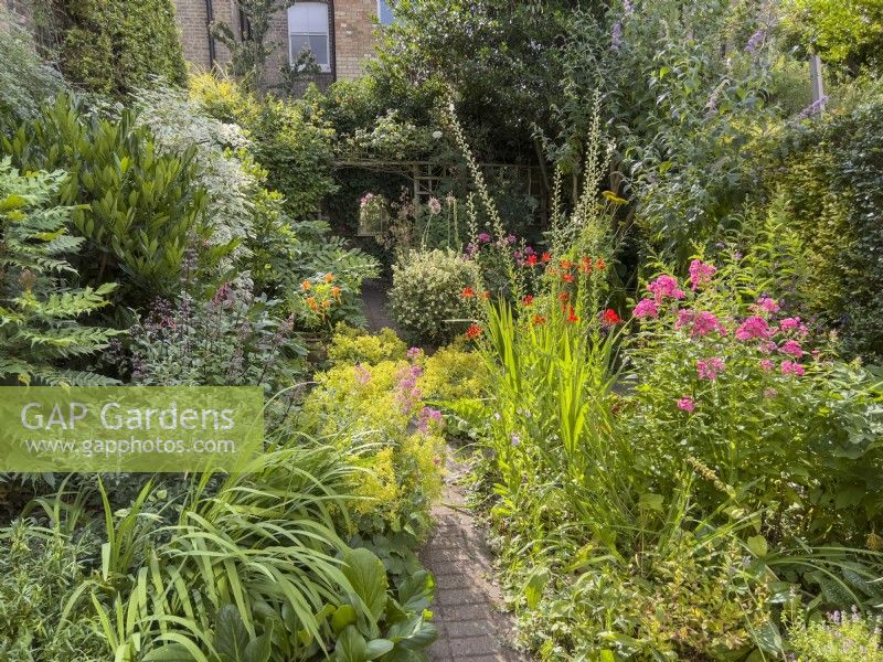 View of small town garden in summer with mirror set in fence as a focal point at the end of central path and mixed borders filled with wide range of perennials and shrubs. Crocosmias, phlox, Alchemilla mollis, buddleia, mahonia, laurel and variegated philadelphus. July.