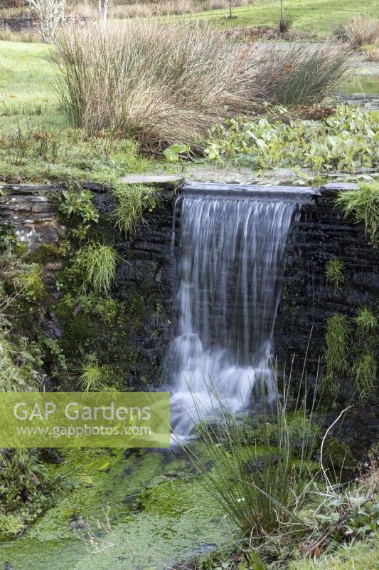 A waterfall at the end of the lake in the arboretum, The Garden House, Yelverton, Devon