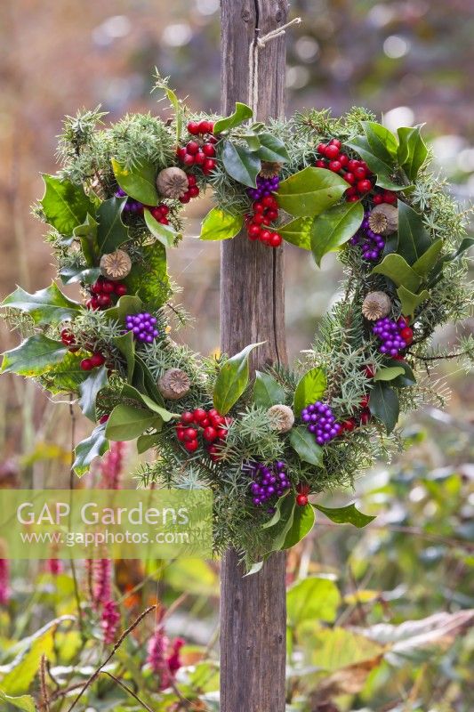 Heart shaped autumnal wreath made from common juniuper, poppy seedheads and Callicarpa and rowan berries.