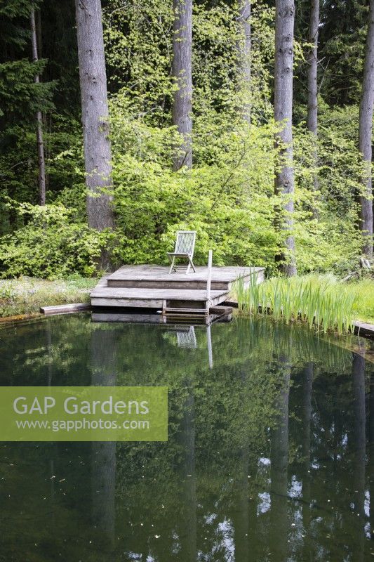 Natural swimming pool with staging and chair at woodland edge. May