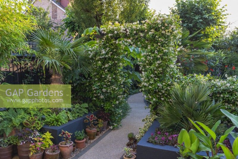 Raised beds flank an arch of star jasmine, and are planted with palms, sedum, ferns and leafy coleus.
