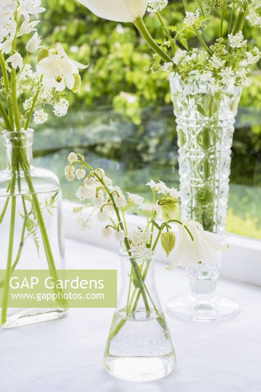 White spring flowers displayed in glass vase -  Aquilegia, Anthriscus sylvestnis and Convallaria majalis on windowsill