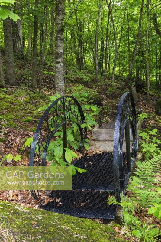 Black wrought iron footbridge in forest of deciduous trees in backyard garden in spring