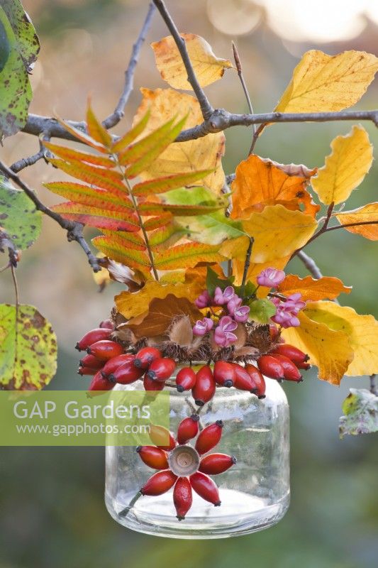 Glass jar decorated with rose hips and autumn foliage hanging from tree.