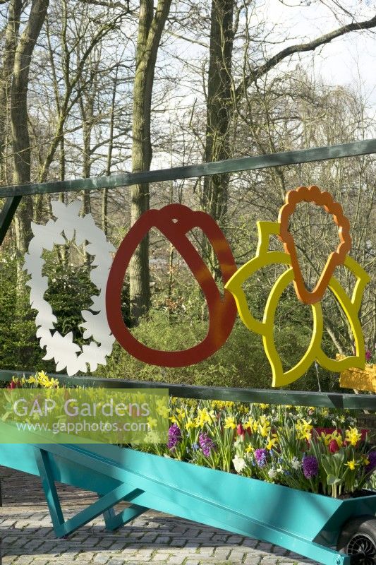 Decorative hanging flower mobiles: Hyacinth purple bright pink, Daffodils and red Tulips in blue wheelbarrow container at Keukenhof.
