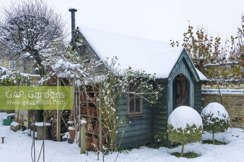 Dark green painted timber garden building in winter with pair of box topiary trees in front of entrance. Utility and storage area of garden with Log store and flowerpot stores built onto garden shed. December.