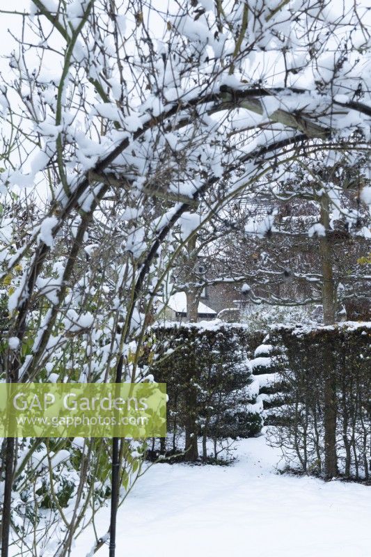 View through rose arch covered with snow in a formal town garden. December