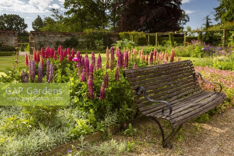 Wooden bench on the edge of the main lawn, with Artemisia ludoviciana and lupins, and mixed borders behind.