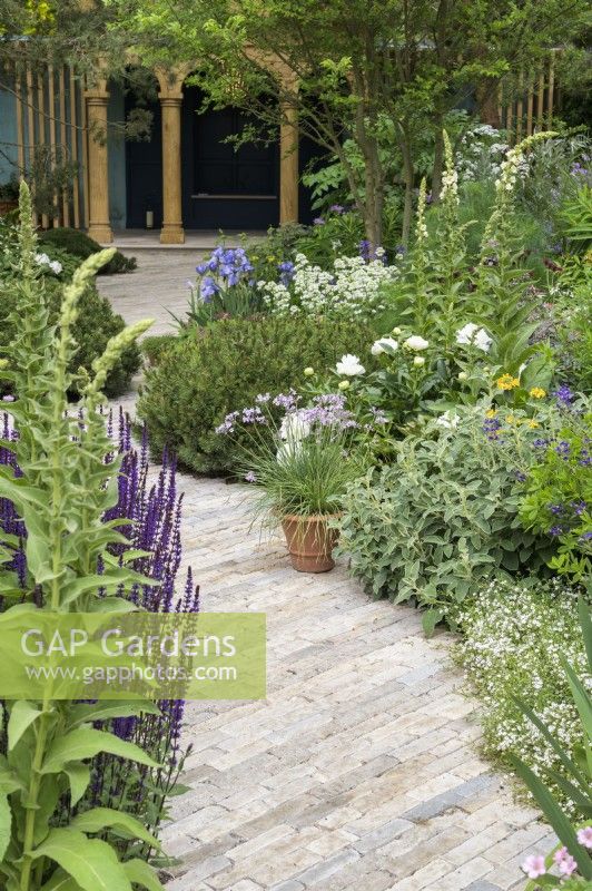 Winding curved clay brick paving path towards oak pavillion with flower borders planted with Iris 'Jane Philips', Salvia nemerosa 'Caradonna' and  Pinus mugo in The RNLI Garden - RHS Chelsea Flower Show 2022 