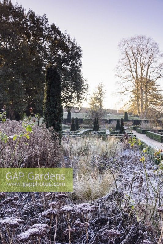The East Garden at The Bishop's Palace Garden in Wells on a January morning.