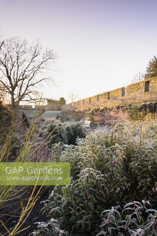 The Winter Walk at The Bishop's Palace Garden in January.