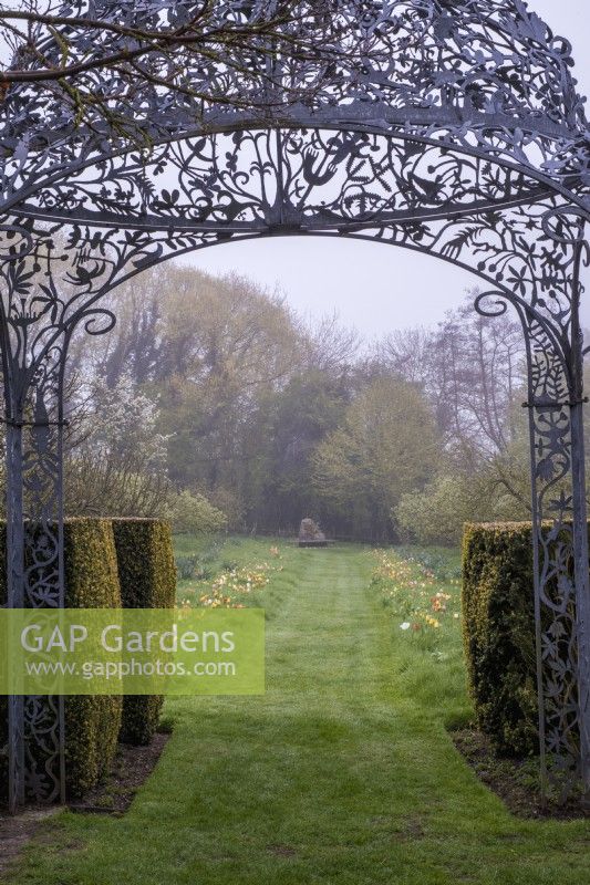 Avenue of colour themed naturalised tulips - orange; yellow; peach and white in orchard viewed through ornate metal arbor - with grass path leading to modern sculpture