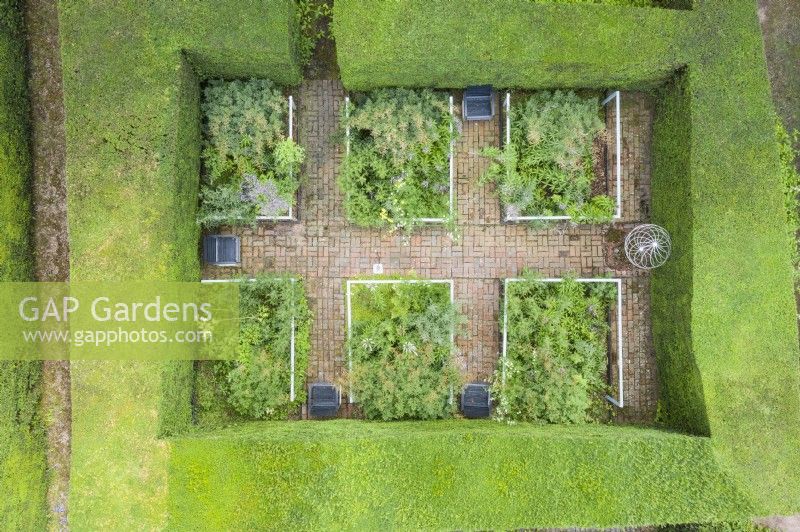 View over small rectangular garden contained within mature clipped Yew hedges. Six beds of late summer herbaceous planting divided by brick paths with seats. Image taken from drone. July.