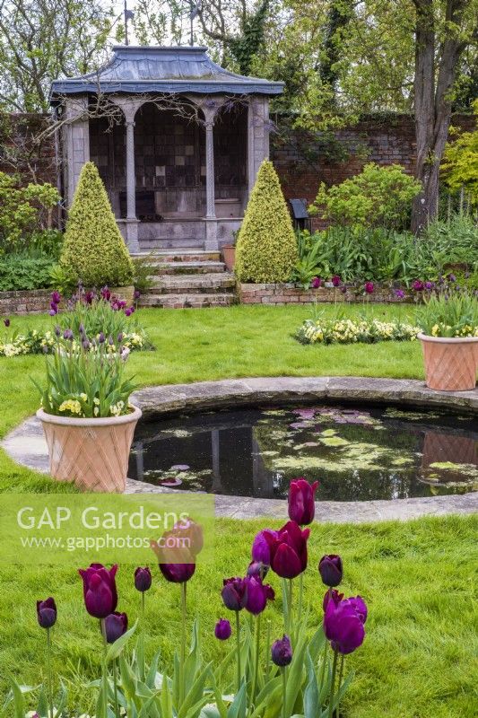 Ornamental summer house overlooking round pool in lawn lined with containers of burgundy Tulipa