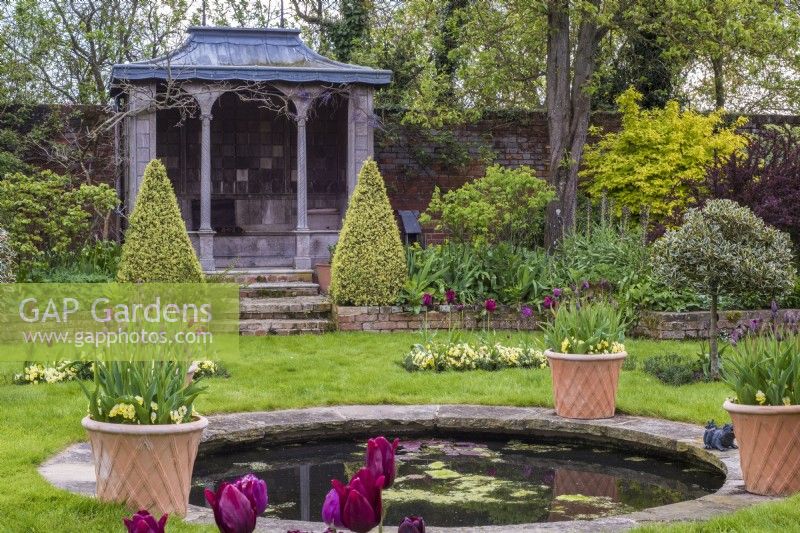 Ornamental summer house in formal walled garden with round pool in lawn lined with containers of burgundy Tulipa underplanted with yellow violas