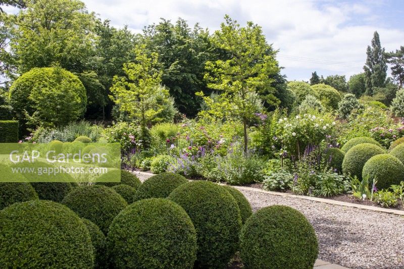 Clipped buxus balls and mixed borders in The South Garden at Morton Hall Gardens