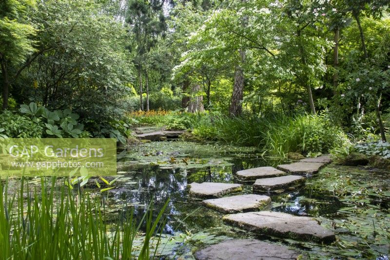 The pool in the Stroll Garden at Morton Hall Gardens with water lilies and stepping stones.